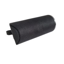 TG113 drahtloser Lautsprecher