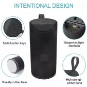 TG113 drahtloser Lautsprecher